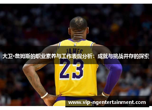 大卫·詹姆斯的职业素养与工作表现分析：成就与挑战并存的探索