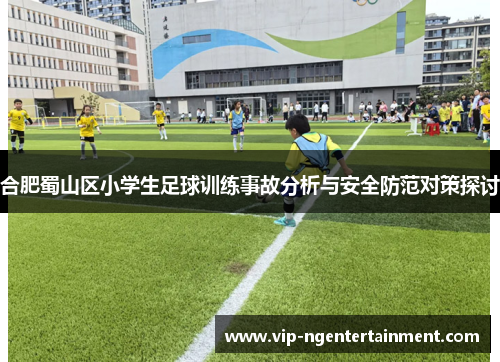 合肥蜀山区小学生足球训练事故分析与安全防范对策探讨