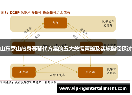 山东泰山热身赛替代方案的五大关键策略及实施路径探讨
