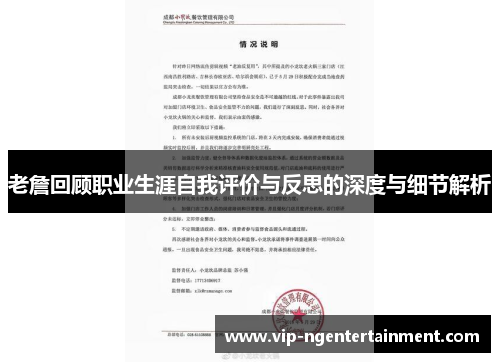 老詹回顾职业生涯自我评价与反思的深度与细节解析