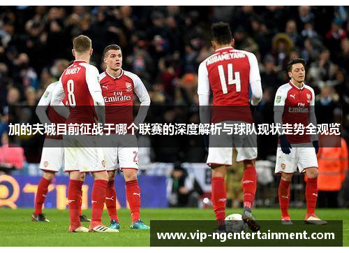 加的夫城目前征战于哪个联赛的深度解析与球队现状走势全观览 加的夫城目前征战于哪个联赛的深度解析与球队现状走势全观览