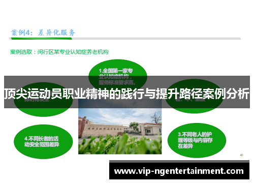 顶尖运动员职业精神的践行与提升路径案例分析