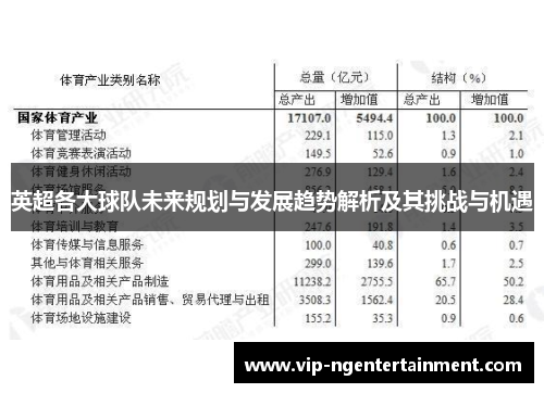 英超各大球队未来规划与发展趋势解析及其挑战与机遇