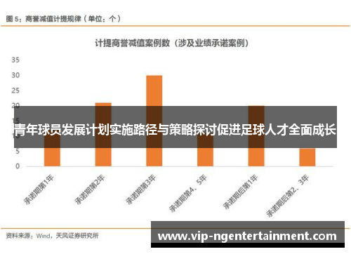 青年球员发展计划实施路径与策略探讨促进足球人才全面成长